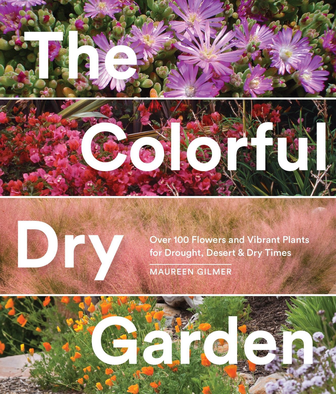Dry garden